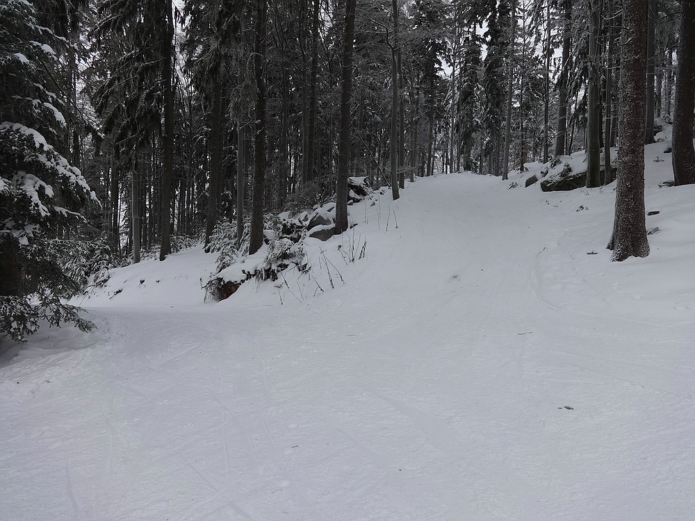 comp_dsc0563962ry1.jpg