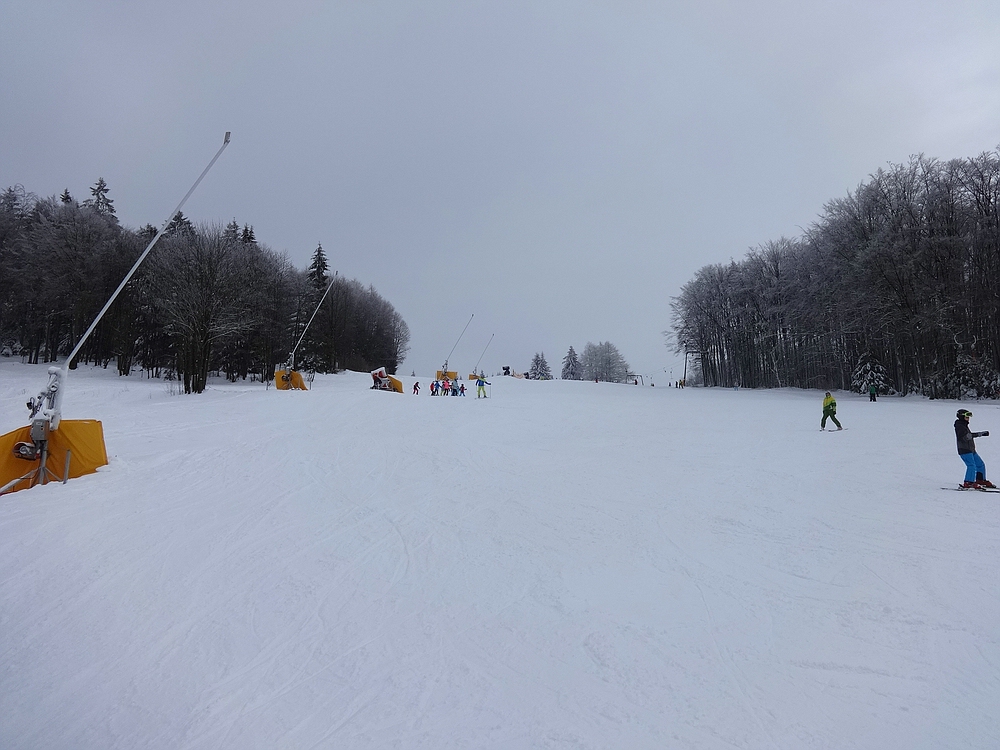 comp_dsc05685qbsnj.jpg