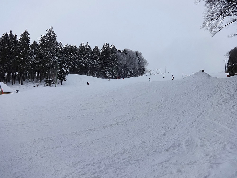 comp_dsc056862vsf3.jpg