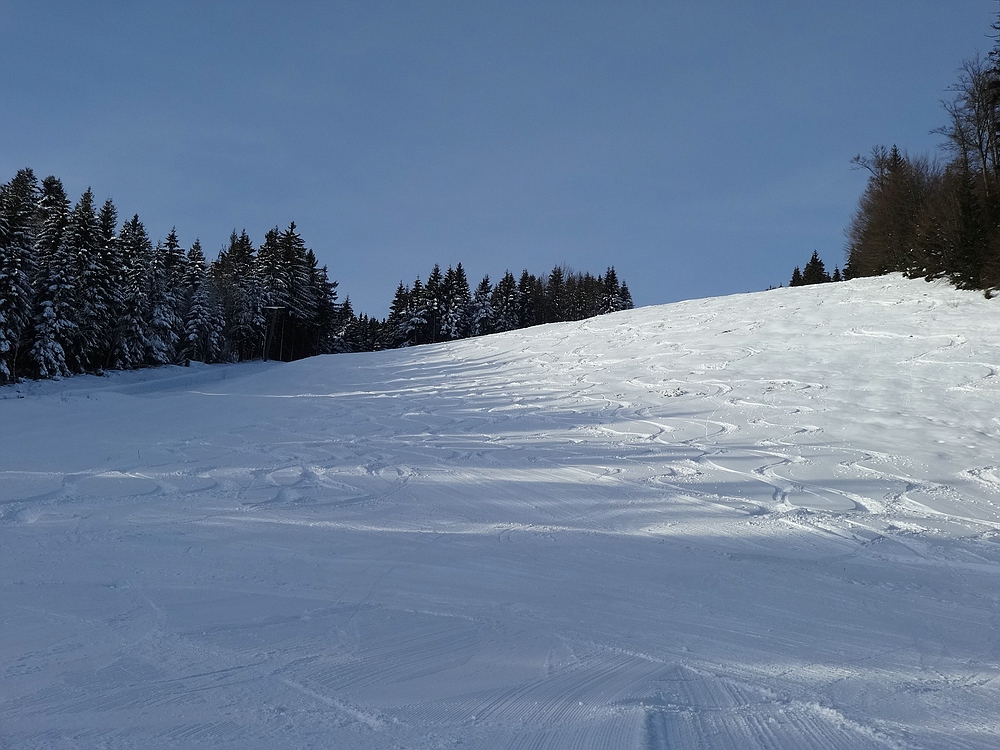comp_dsc05795dwsrf.jpg