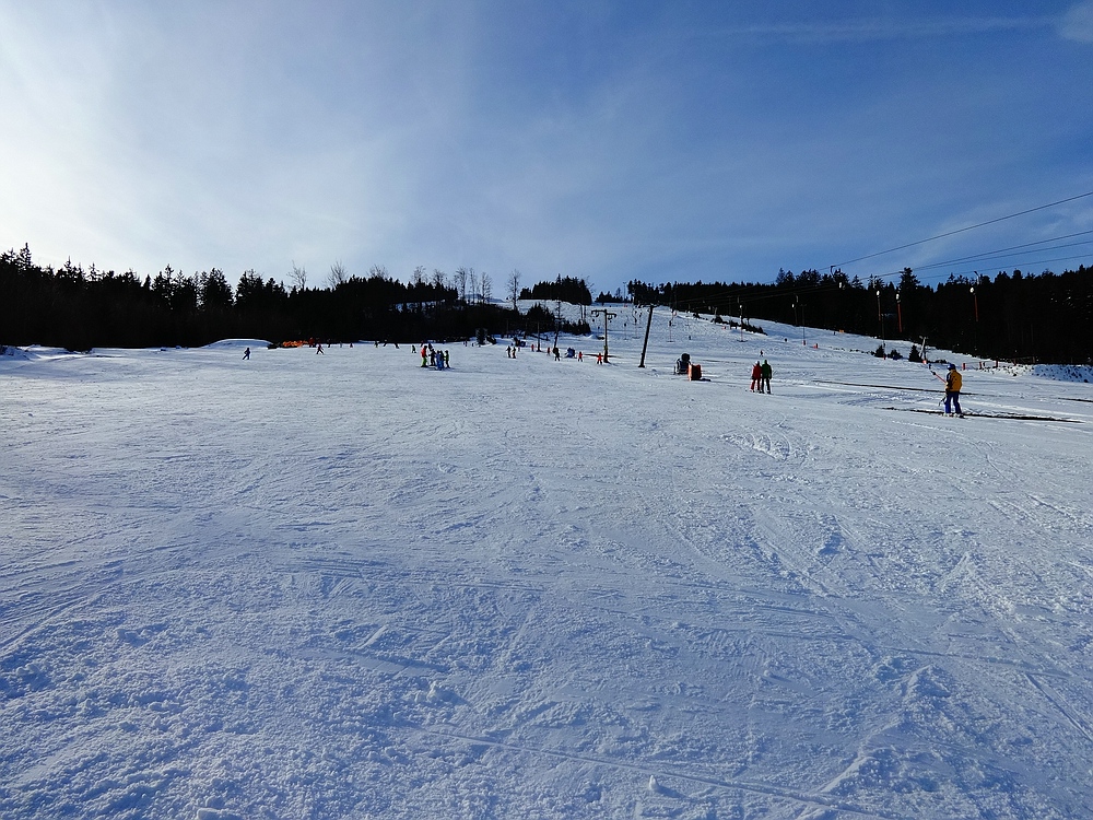 comp_dsc05806rcskj.jpg