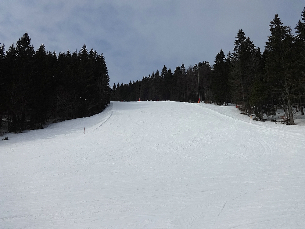 comp_dsc06501r1zbi.jpg