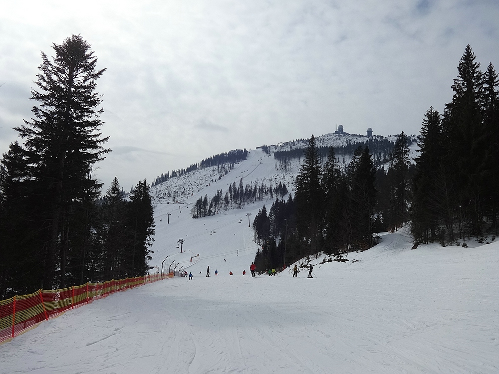 comp_dsc06502lfzuc.jpg