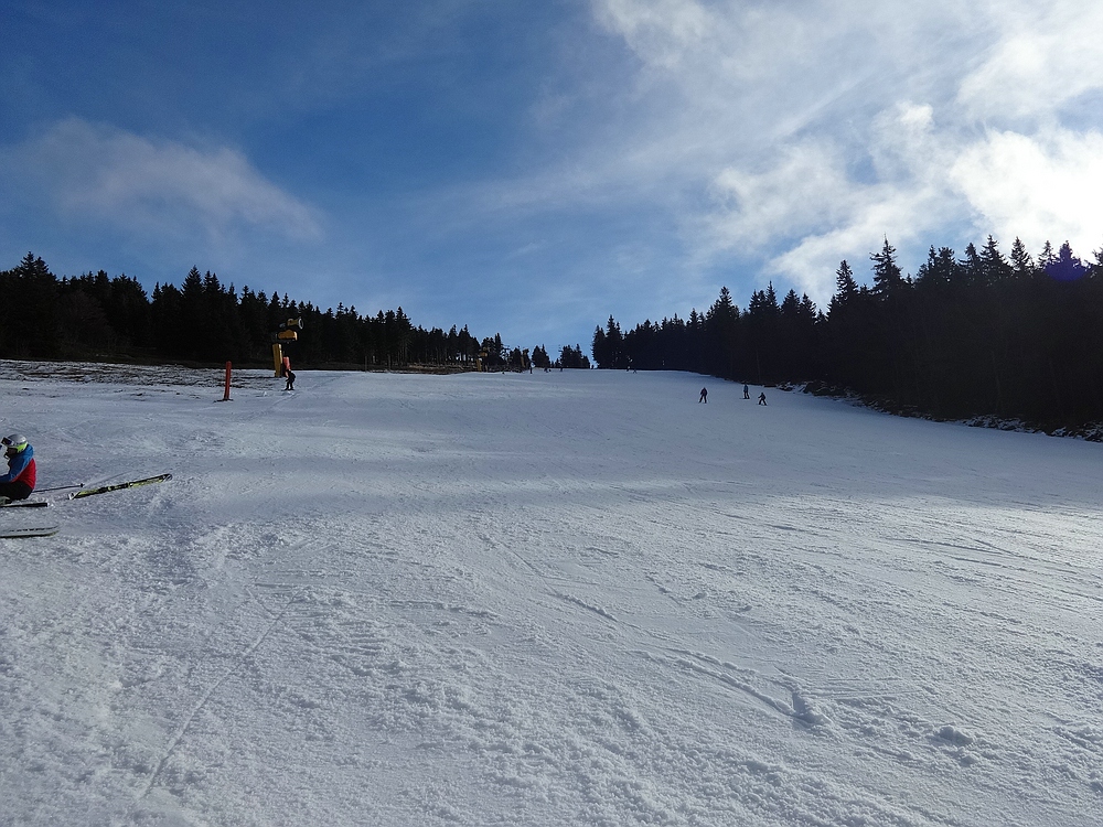 comp_dsc08291mrrfw.jpg