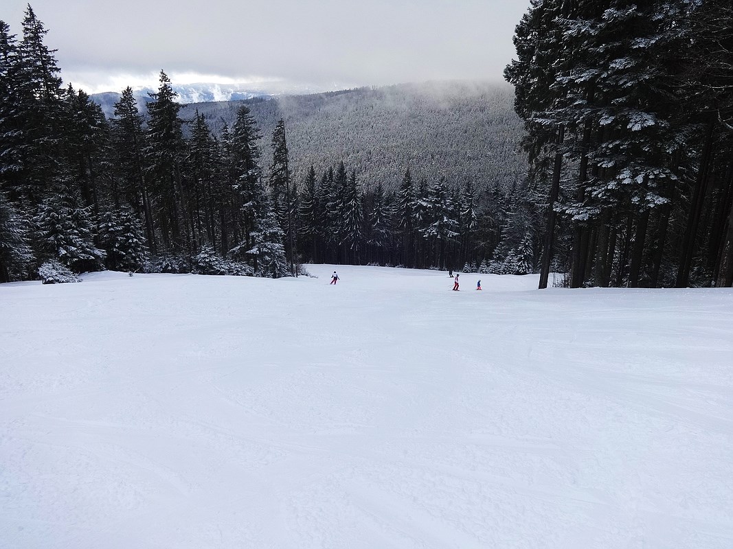 comp_dsc08672qvsok.jpg