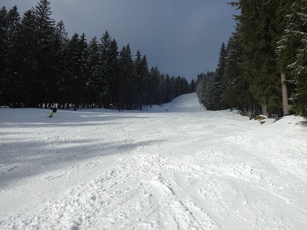 comp_dsc08712gjut1.jpg
