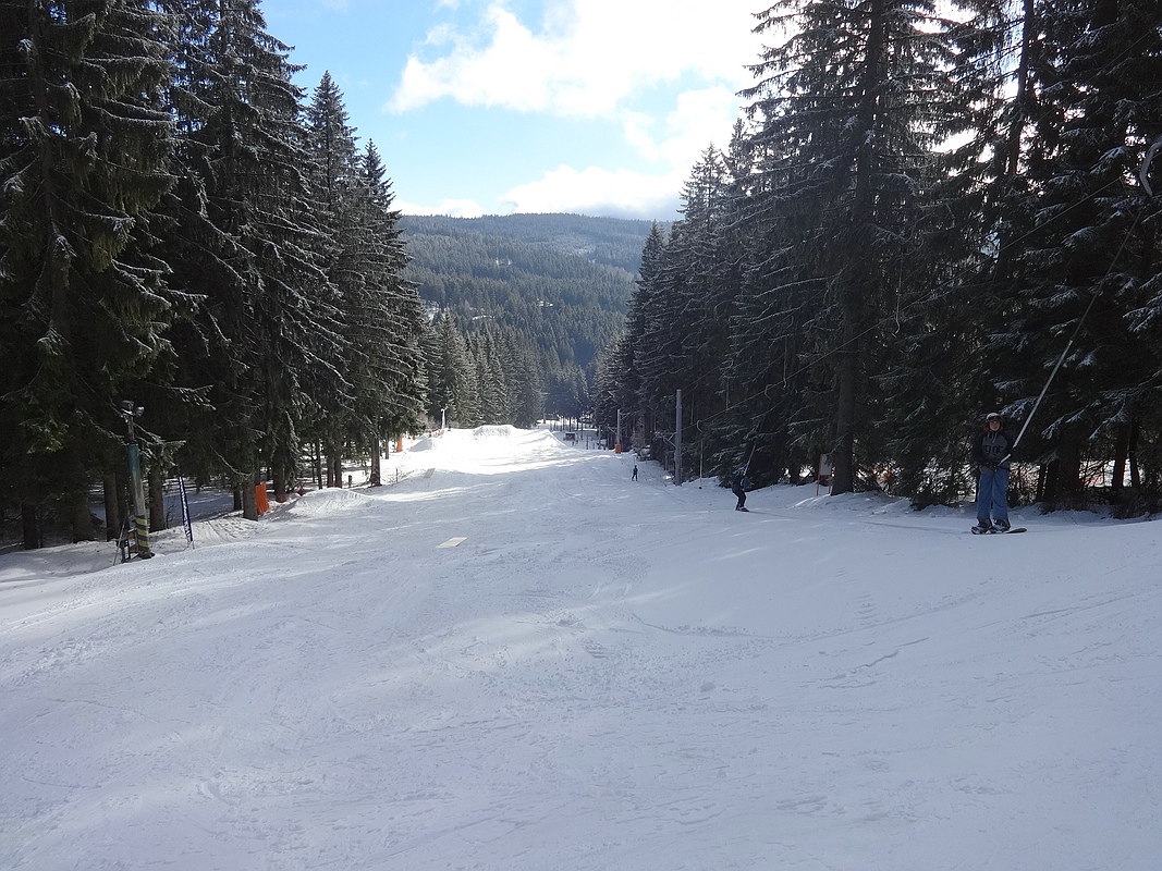 comp_dsc08713v3u7d.jpg