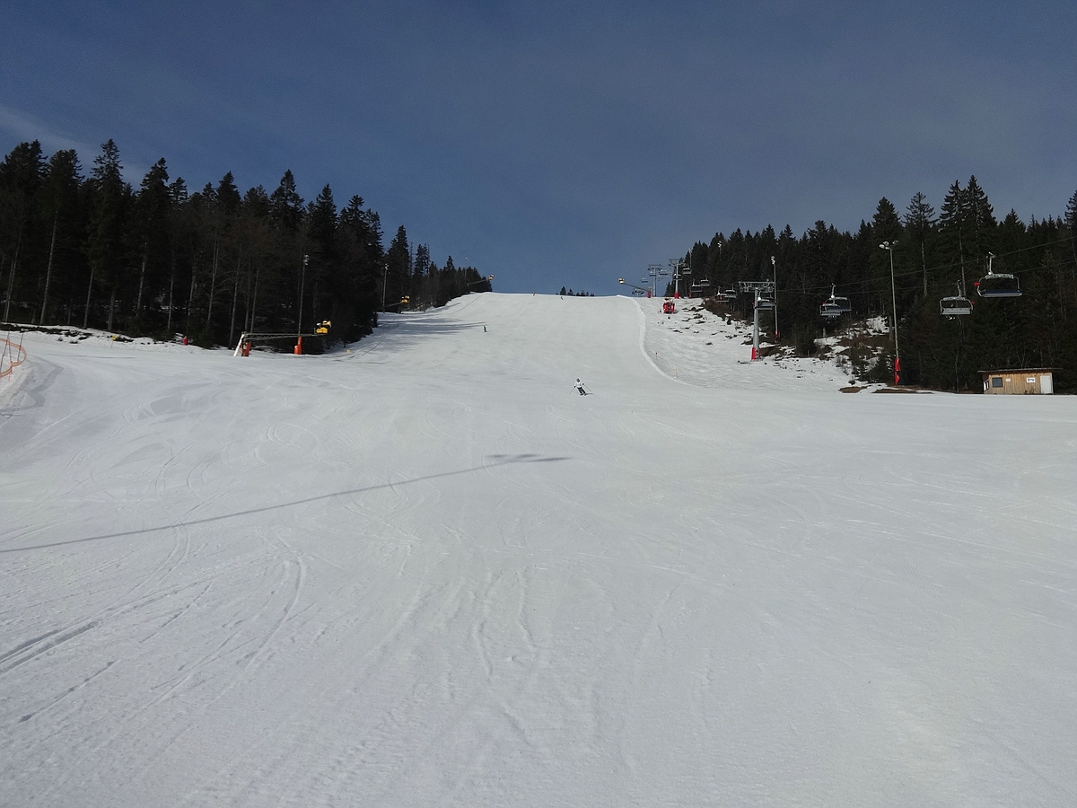 comp_dsc091371vu0s.jpg
