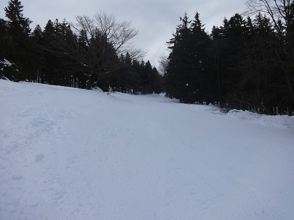 comp_dsc09883l7qlt.jpg