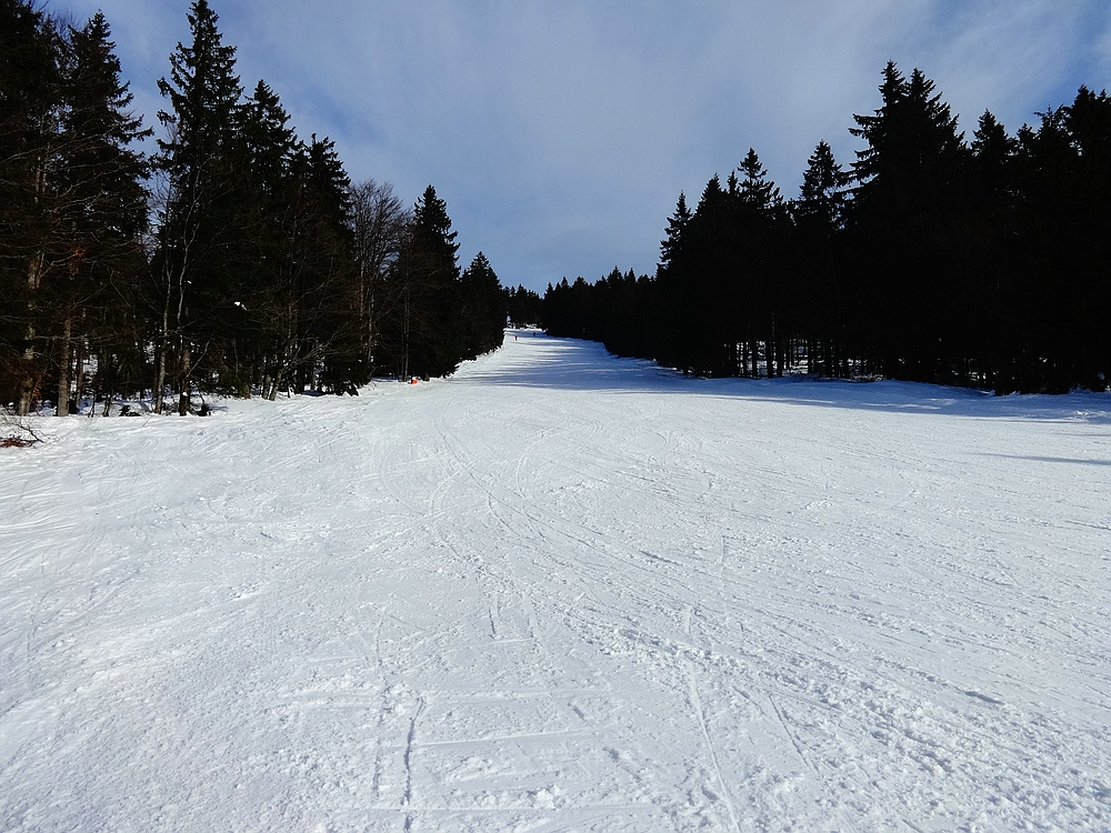 comp_dsc098979to69.jpg