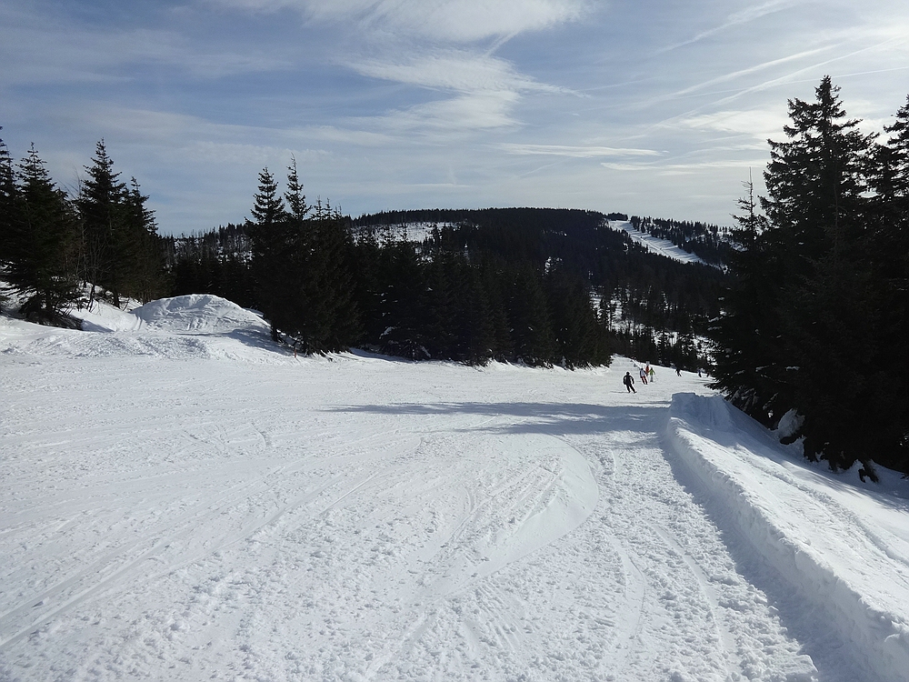 comp_dsc09920dbq67.jpg