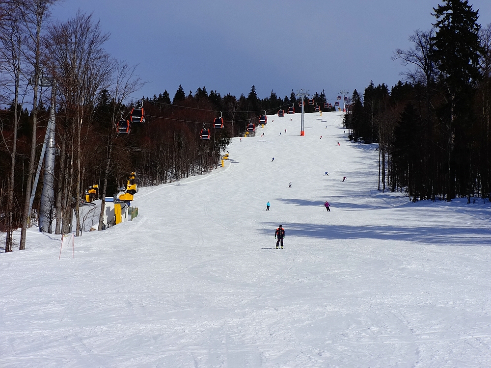 comp_dsc09935l8s6r.jpg