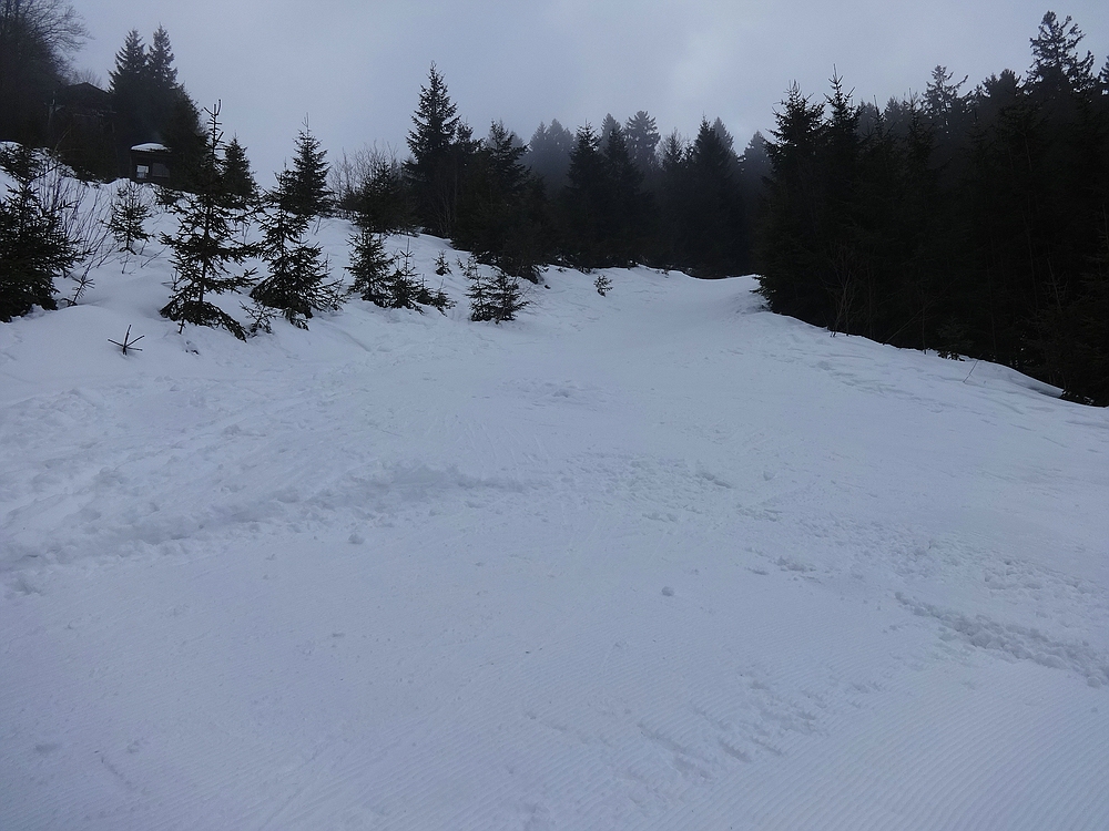 comp_dsc09953d0o33.jpg