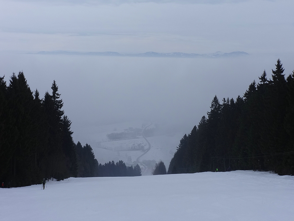 comp_dsc0995734qcv.jpg