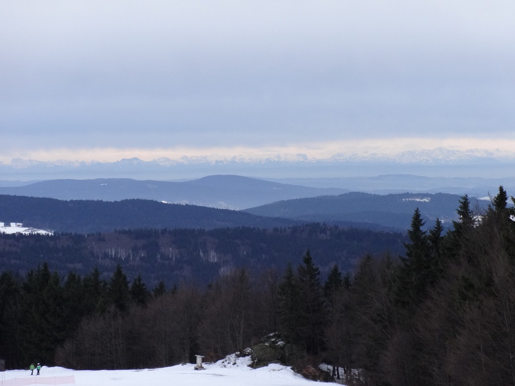 dsc0123505lhz.jpg