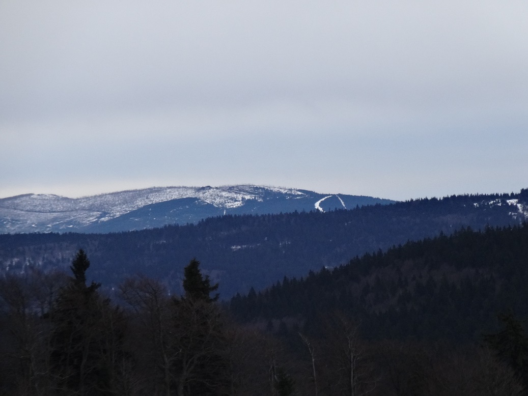 dsc012505rxph.jpg