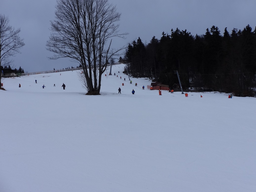 dsc01258d7ar3.jpg