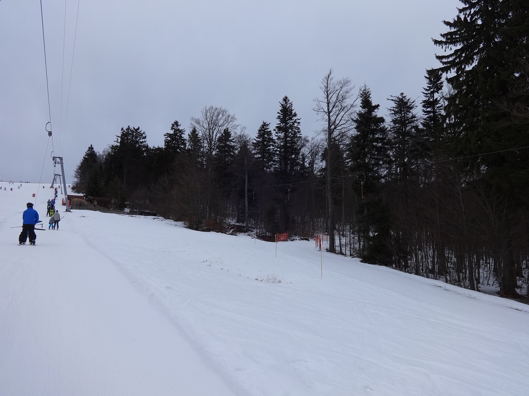 dsc012590pzxr.jpg