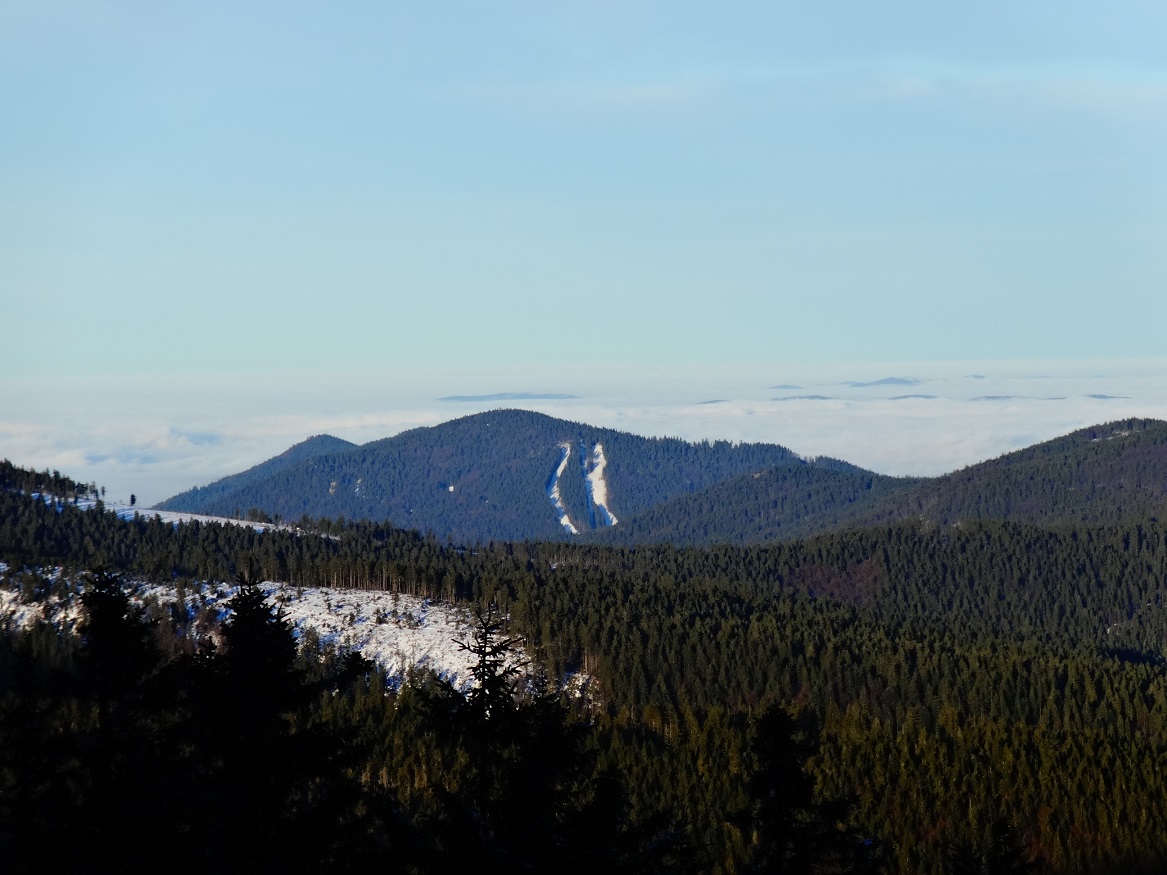 dsc01375ymjjd.jpg