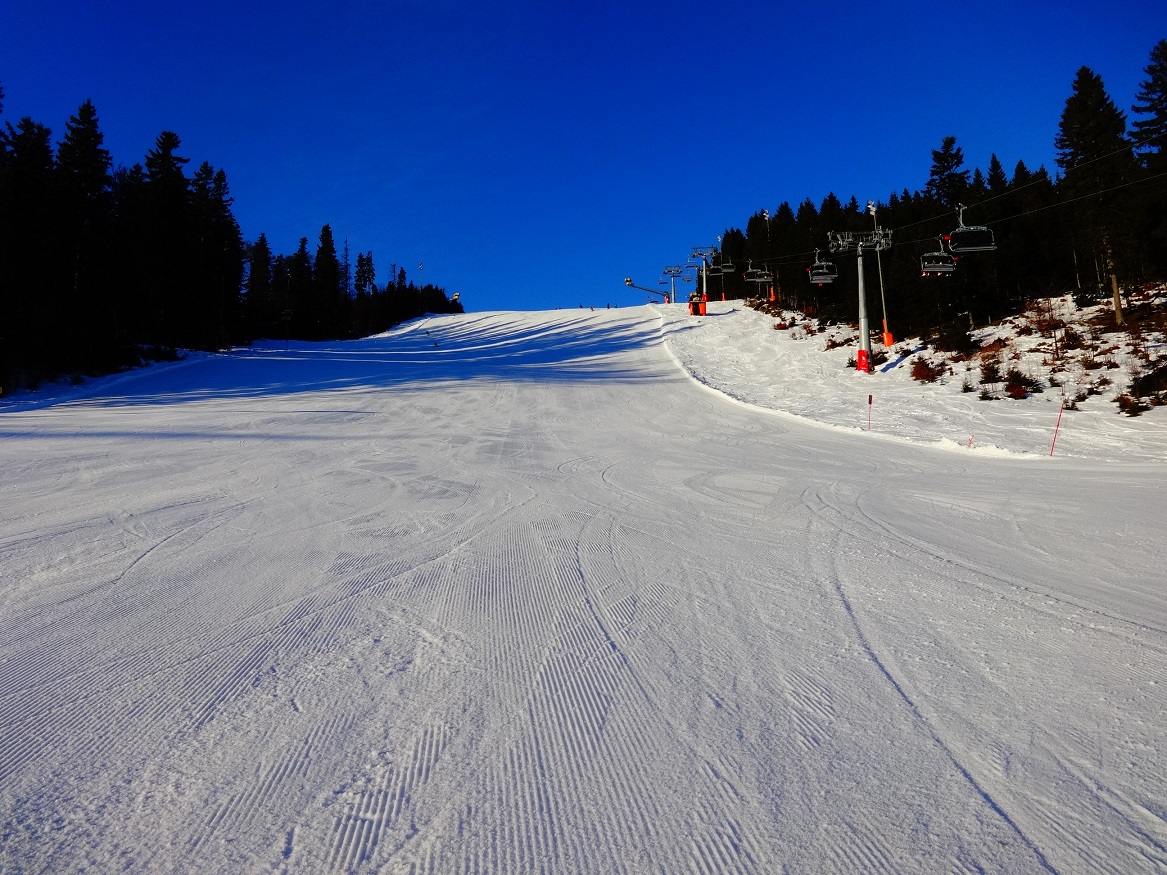 dsc01376qhk2k.jpg