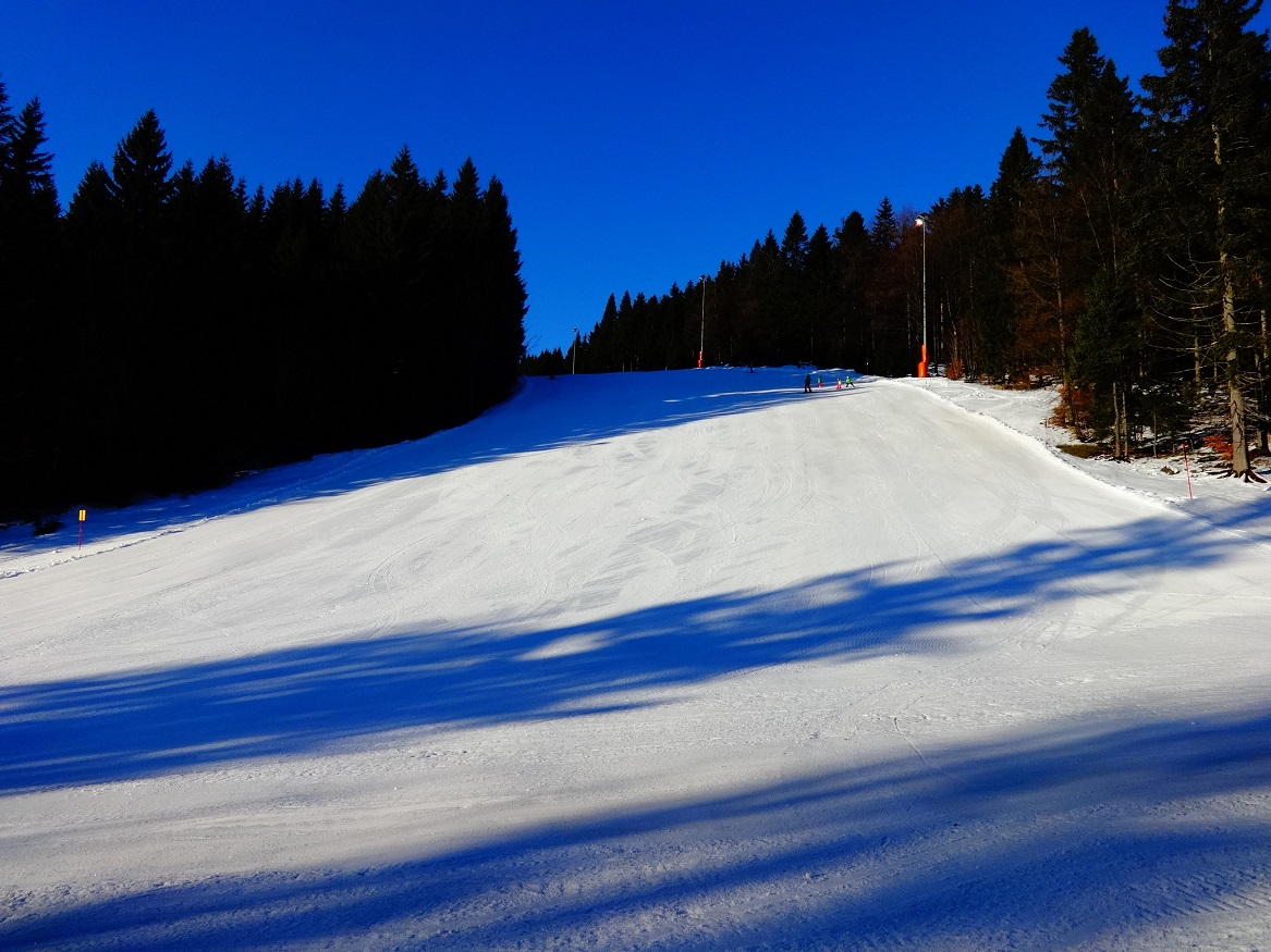 dsc01382o1jdx.jpg