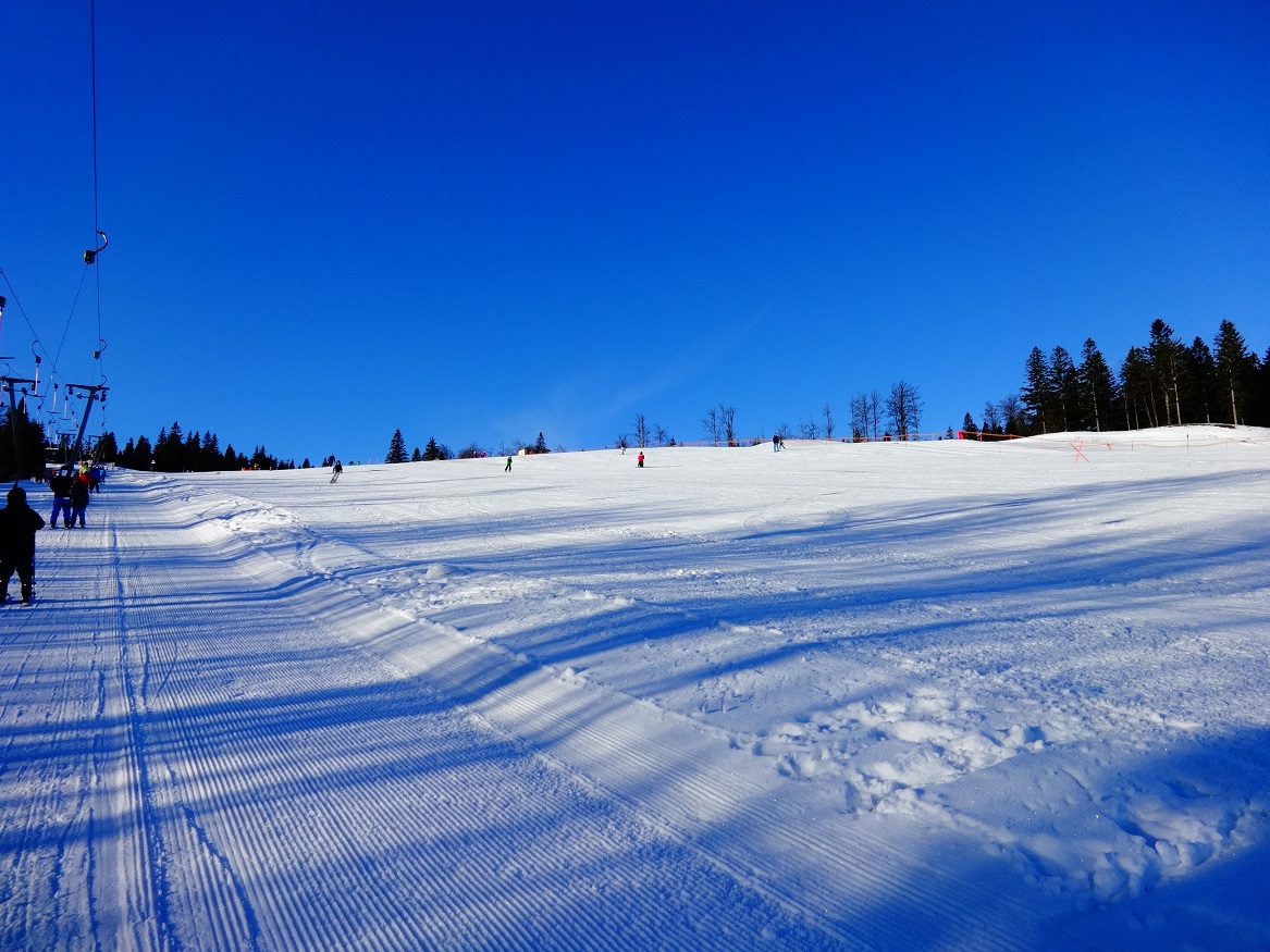 dsc01390jukf9.jpg