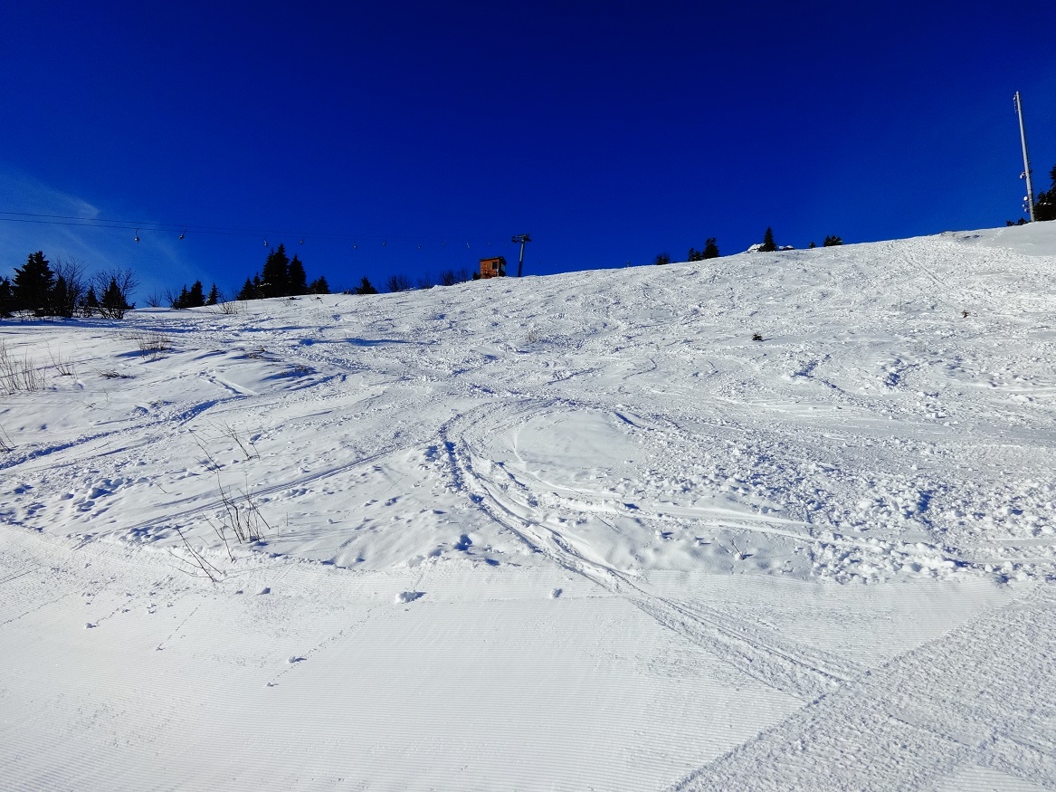 dsc013948wslo.jpg