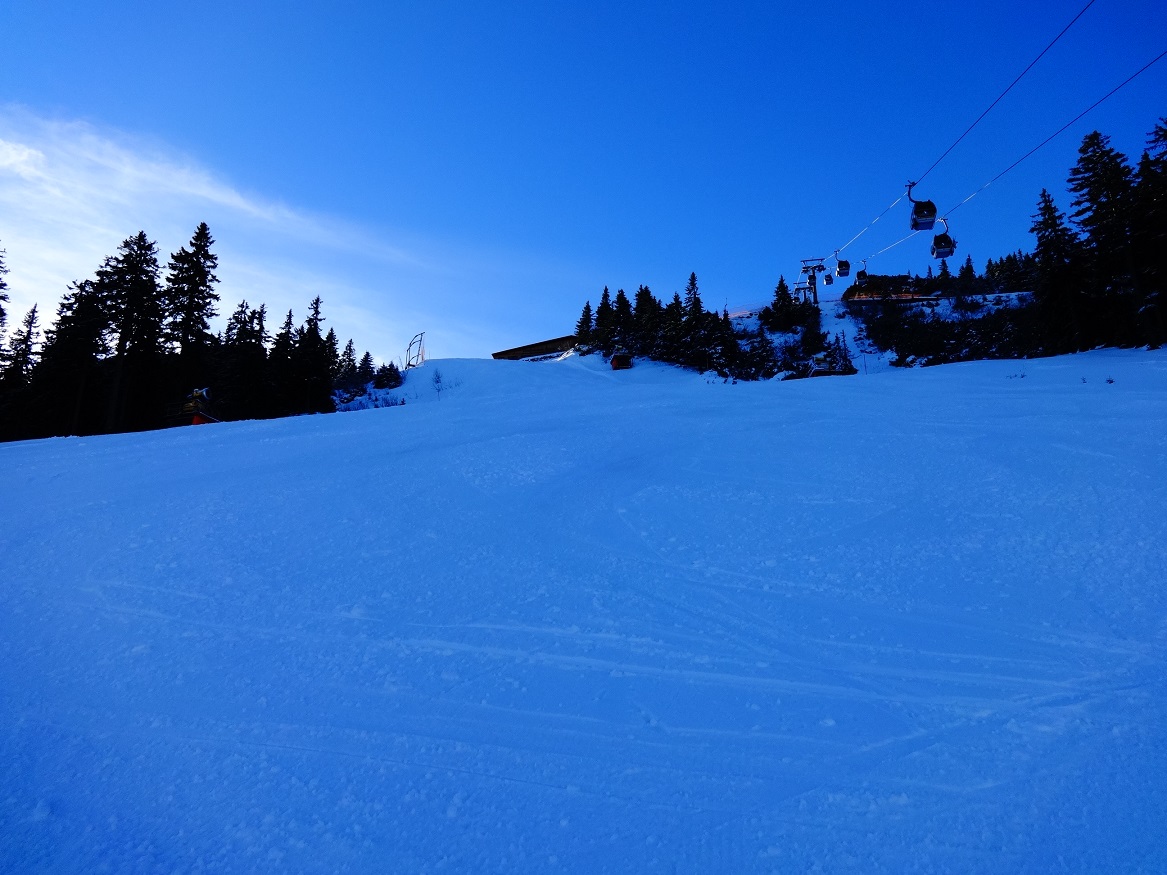 dsc01398ctsvx.jpg