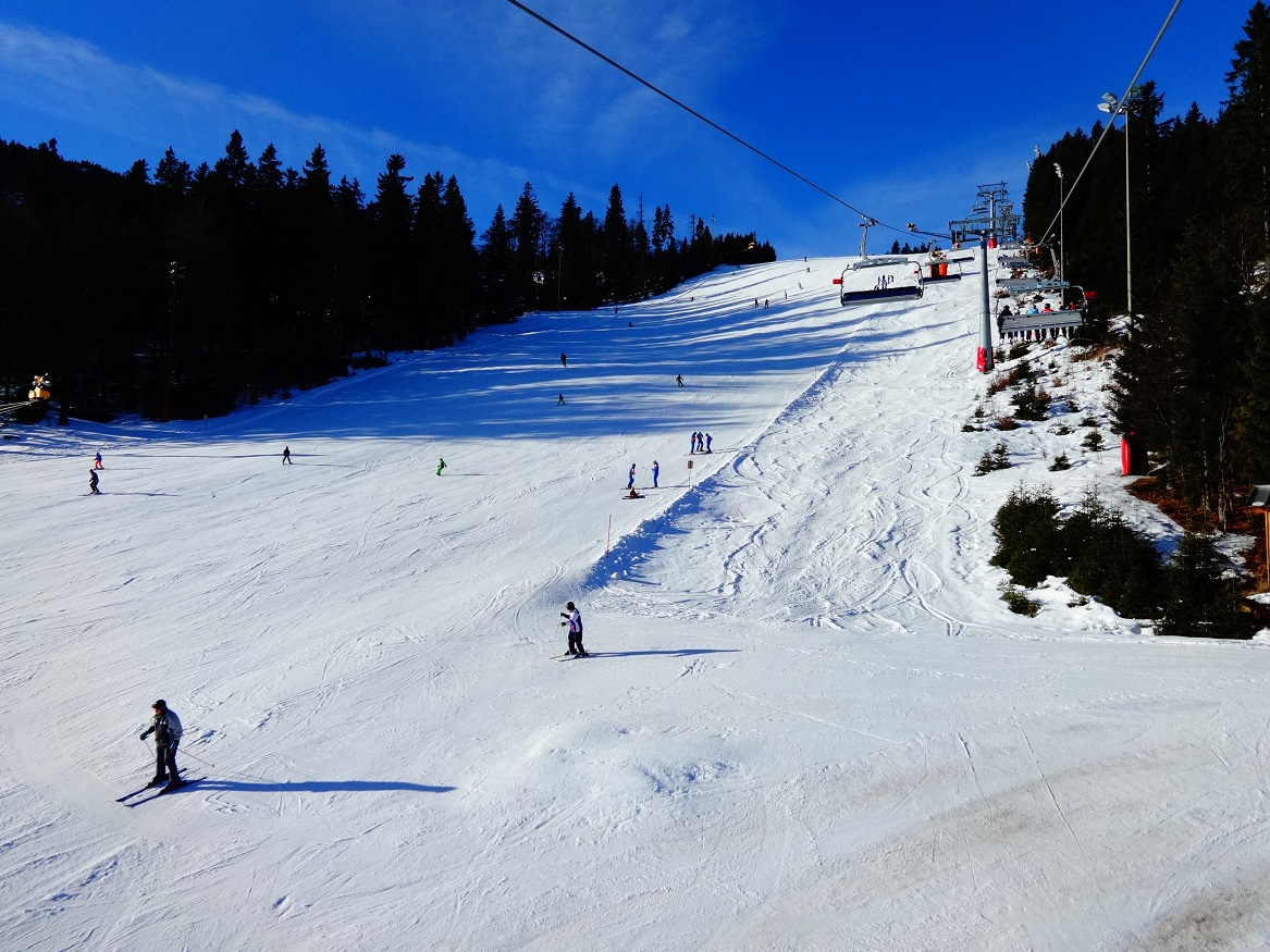 dsc01401wjsoq.jpg