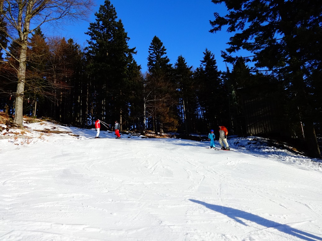 dsc01473exk0f.jpg