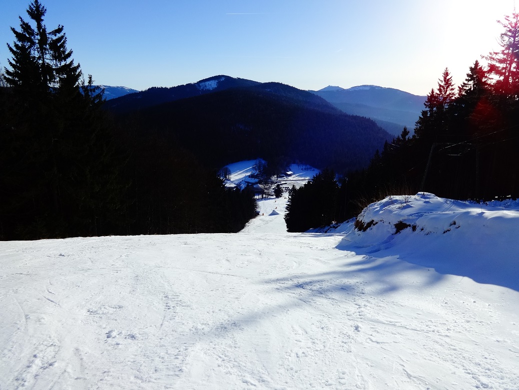 dsc01501fykkp.jpg