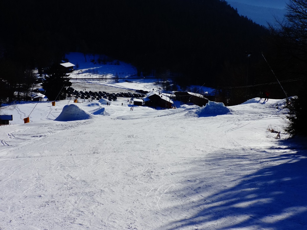 dsc01504oyjss.jpg