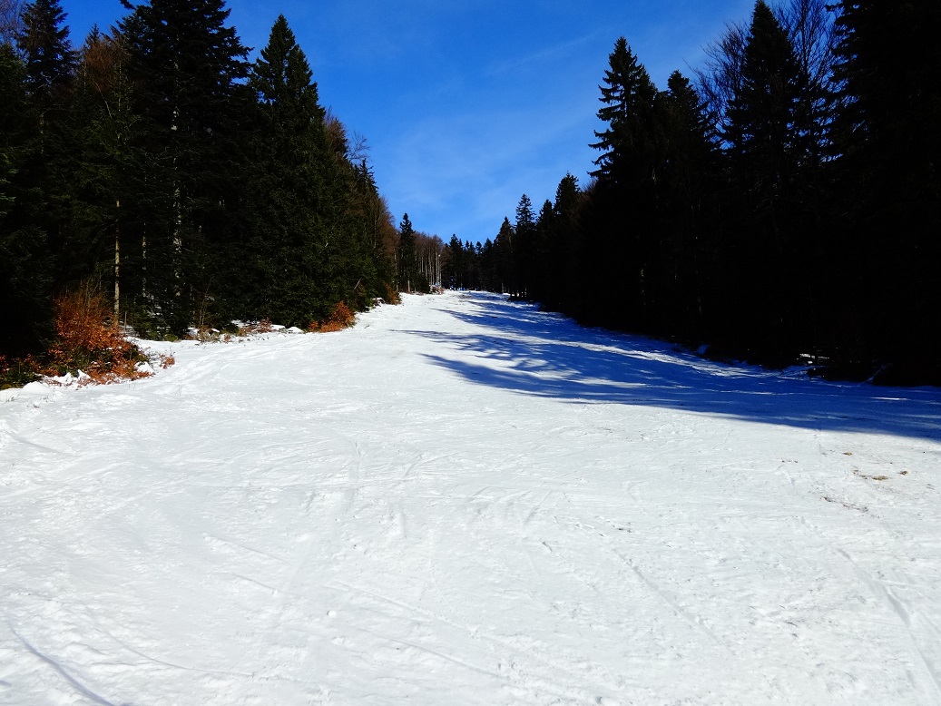 dsc0151517jtn.jpg