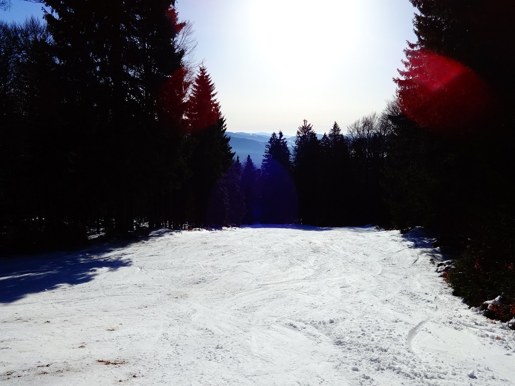 dsc01516kjj3t.jpg