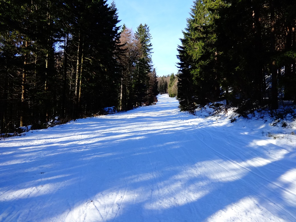 dsc015173mkqb.jpg