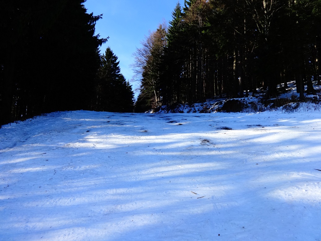dsc01518crjdn.jpg