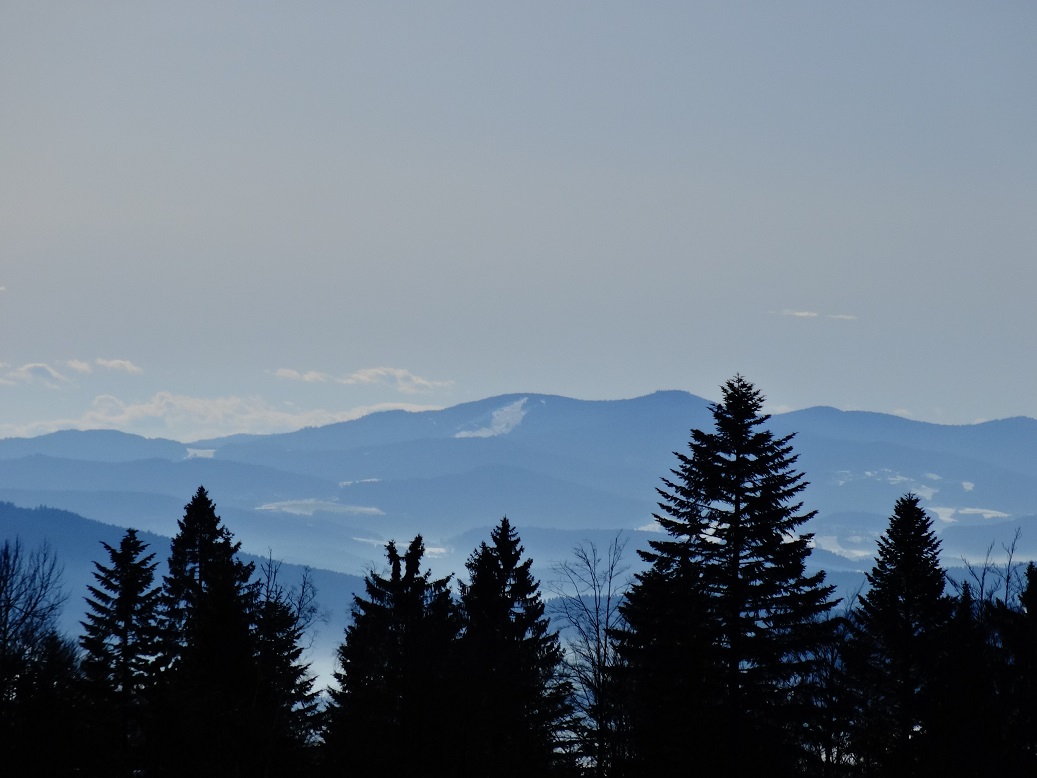 dsc015222tk5n.jpg