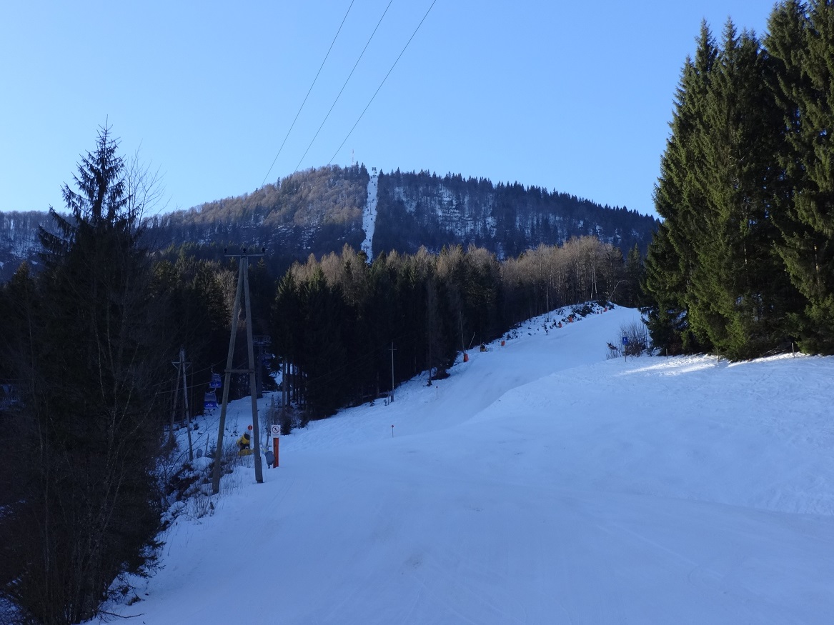 dsc01557o8jjd.jpg