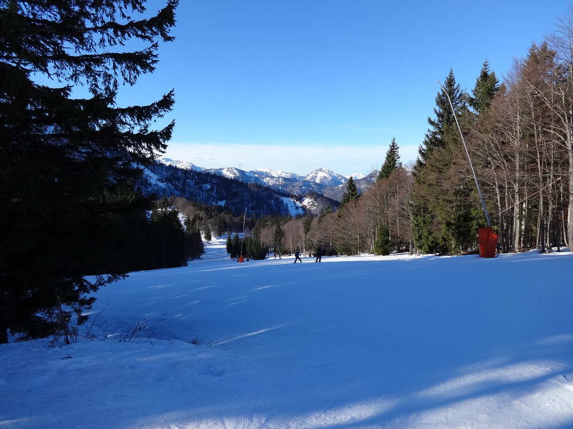 dsc01561pzk44.jpg