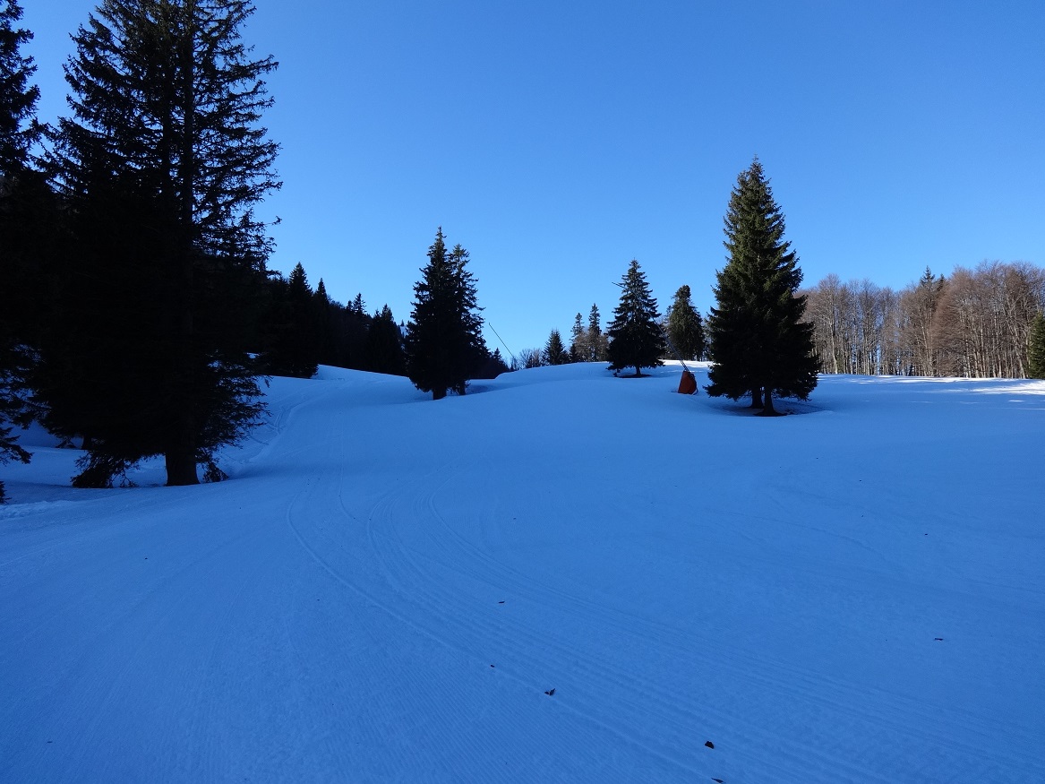 dsc015643nkj1.jpg