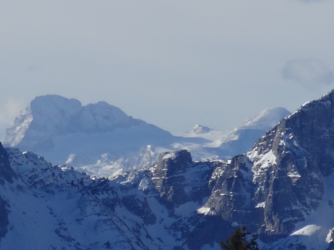 dsc015770xjx6.jpg