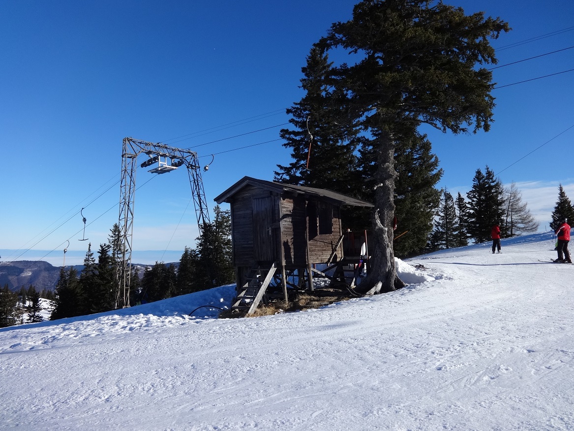 dsc01583v1jf4.jpg