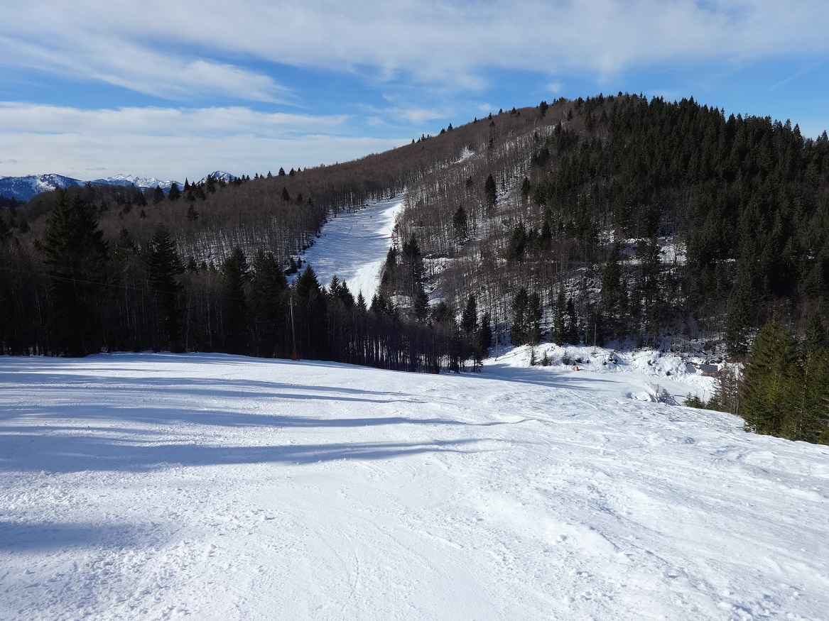dsc0163111je5.jpg