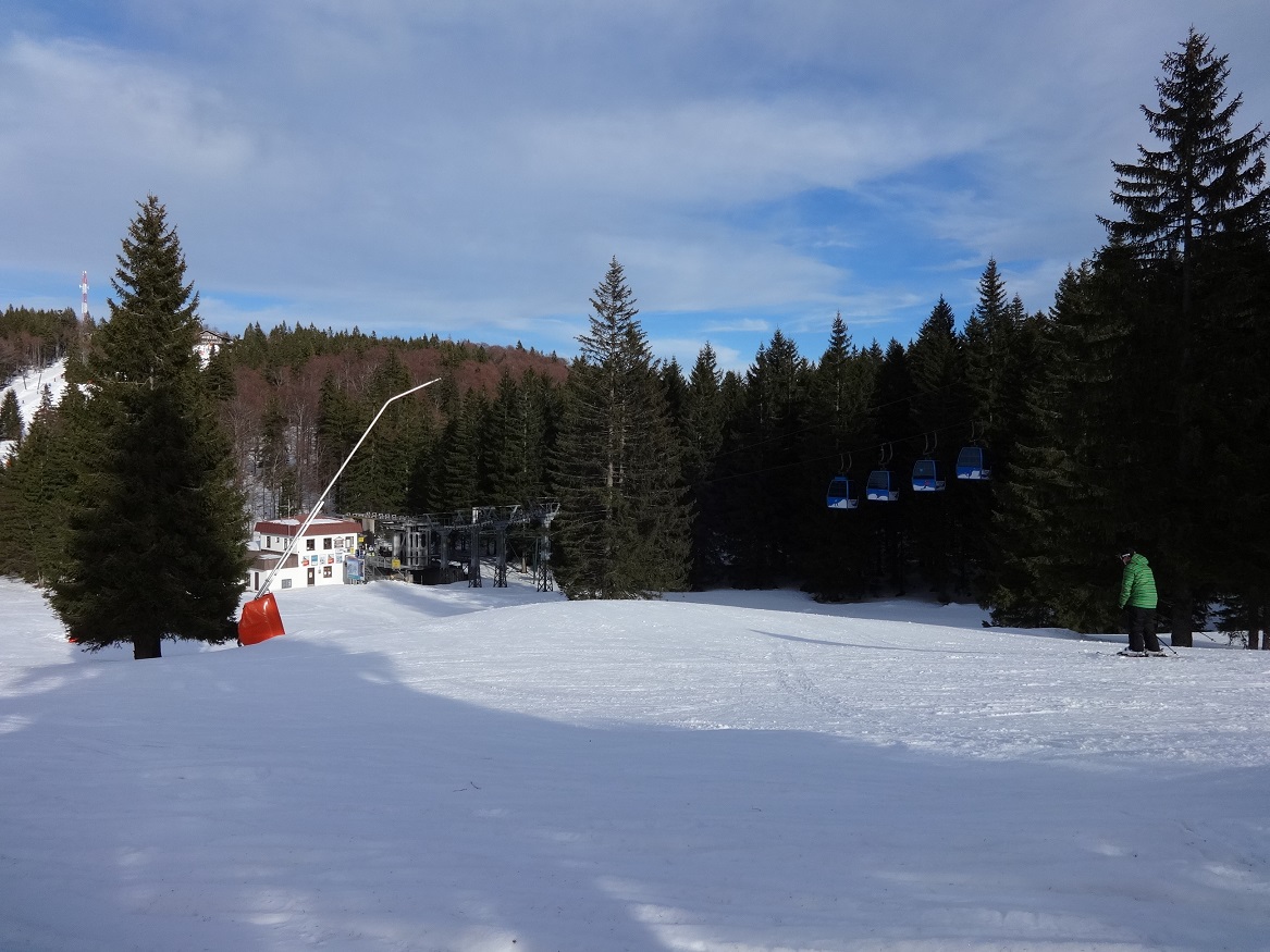 dsc01677msjdq.jpg