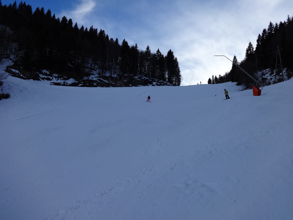 dsc01687cbjov.jpg