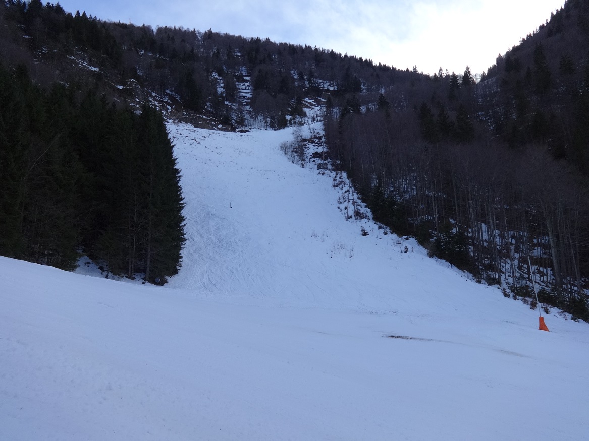 dsc01693f4jtj.jpg
