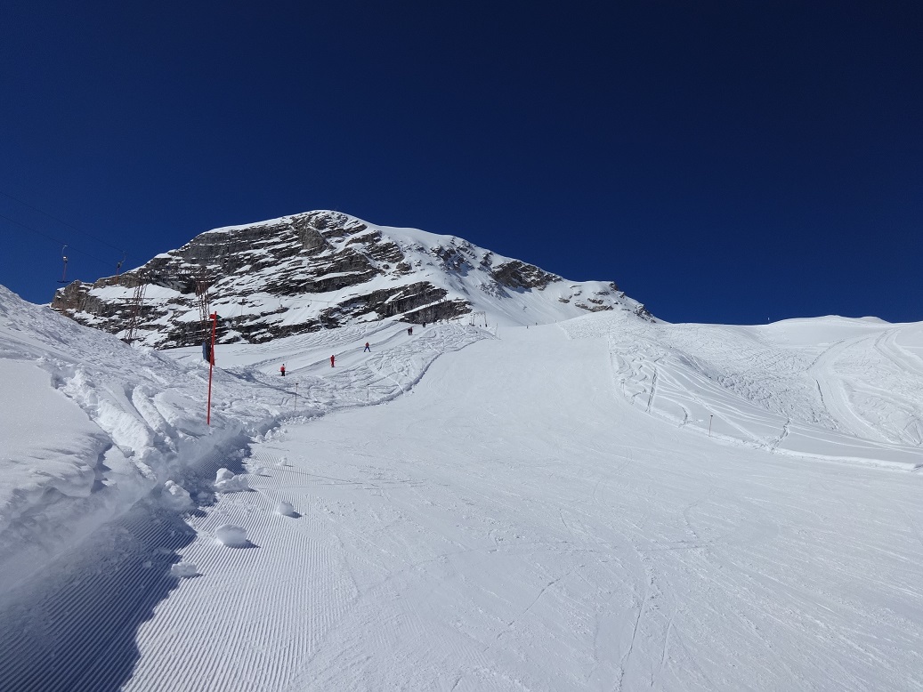 dsc02162pnx7r.jpg
