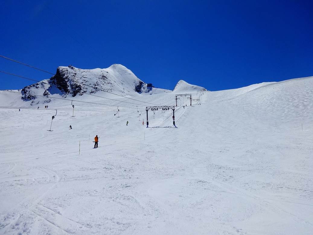dsc024559yrxf.jpg