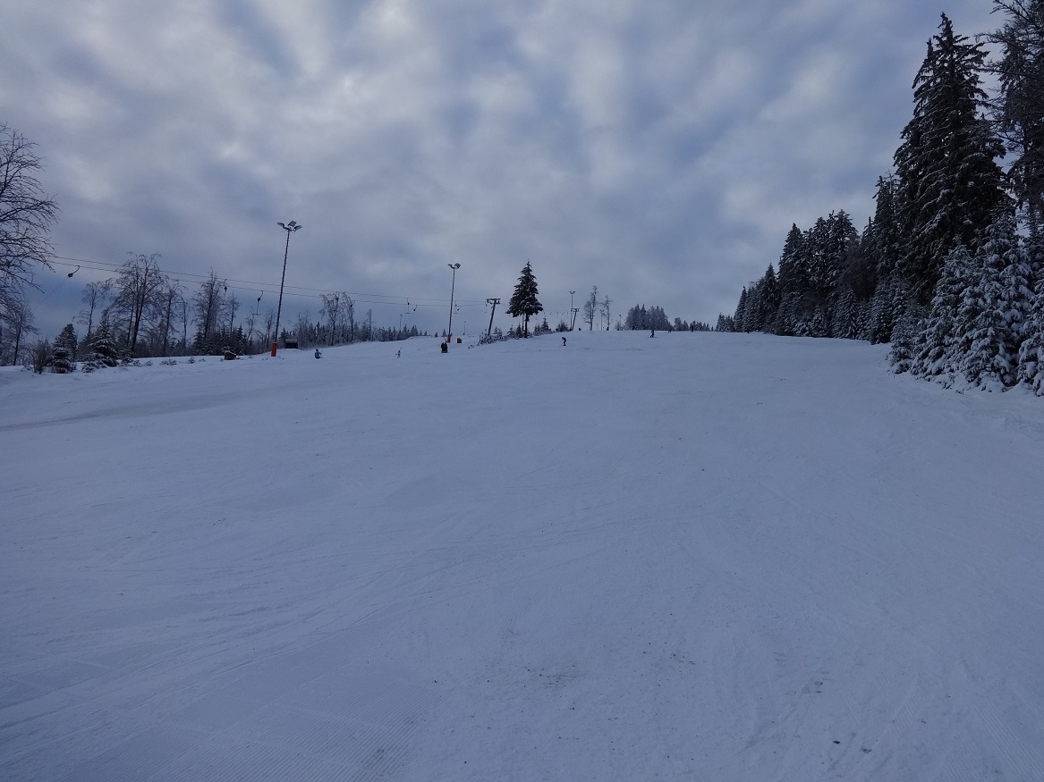dsc03342gxski.jpg
