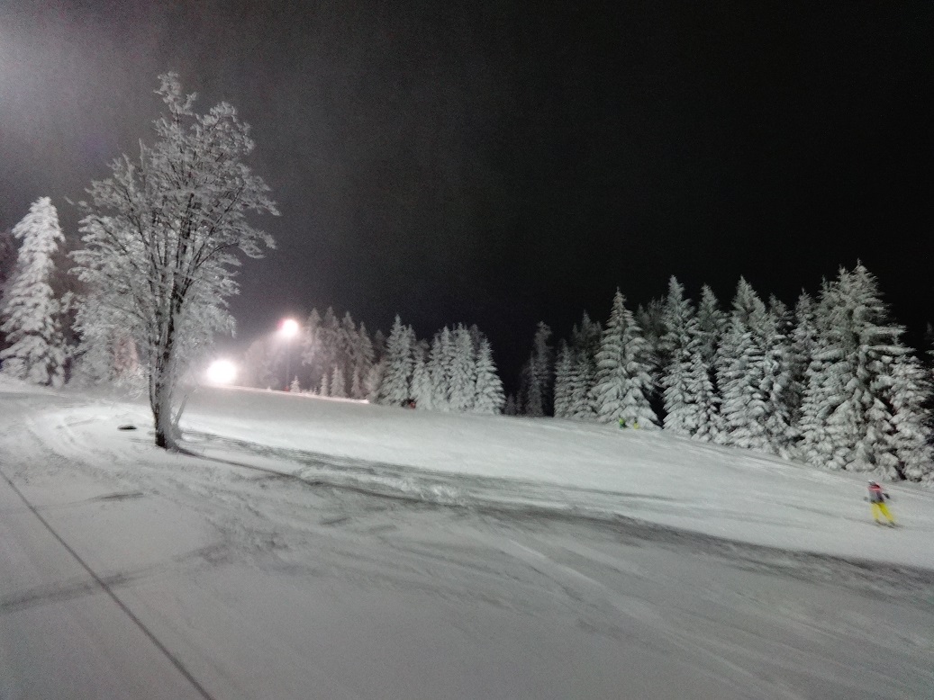 dsc03456k9rrb.jpg